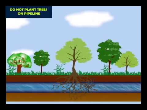 BPCL - Pipeline Safety_Youtube_thumb